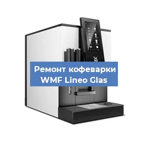 Чистка кофемашины WMF Lineo Glas от накипи в Новосибирске